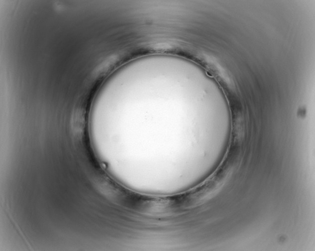 X0000103330495200809192208