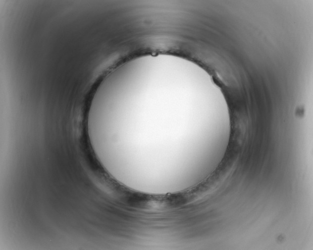 X0000103330496200809192208