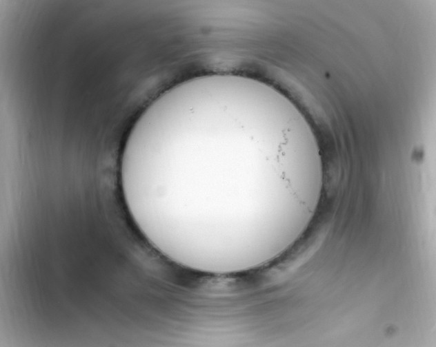 X0000103330497200809192208