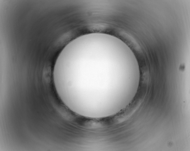 X0000103330498200809192208