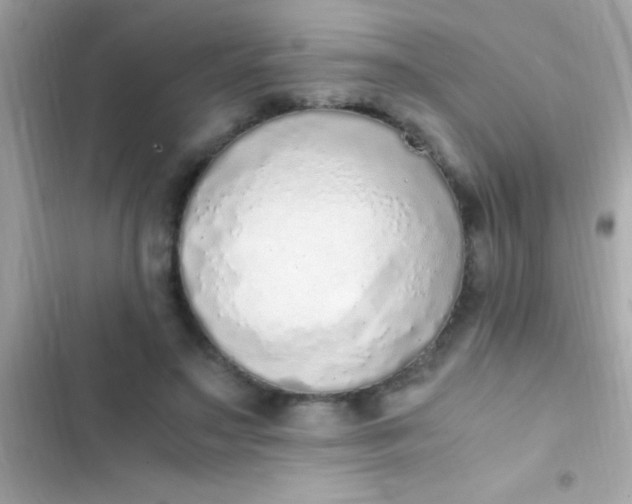 X0000103330499200809192208