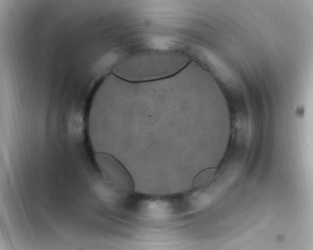 X0000103330500200809192208