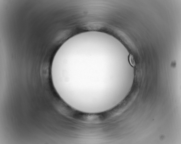 X0000103330501200809192208