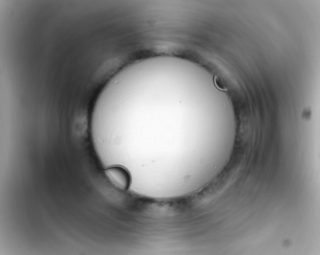 X0000103330502200809192208