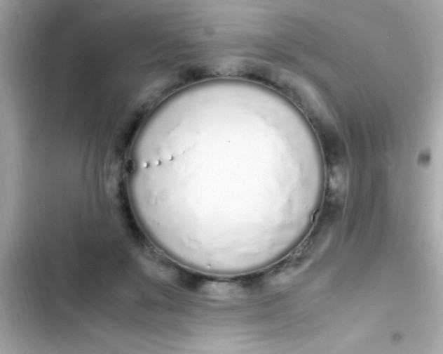 X0000103330503200809192208