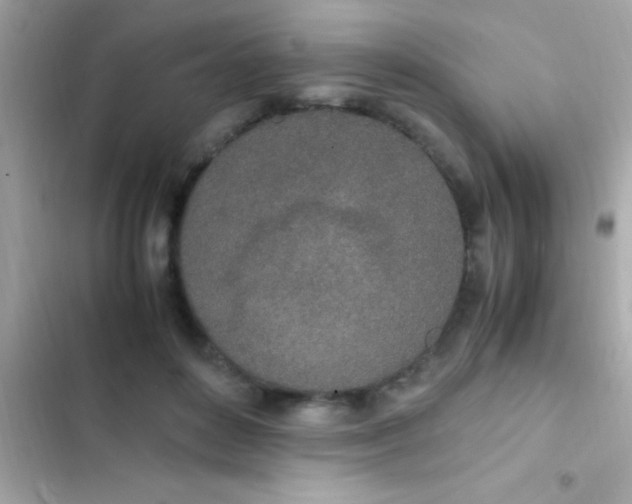 X0000103330504200809192208