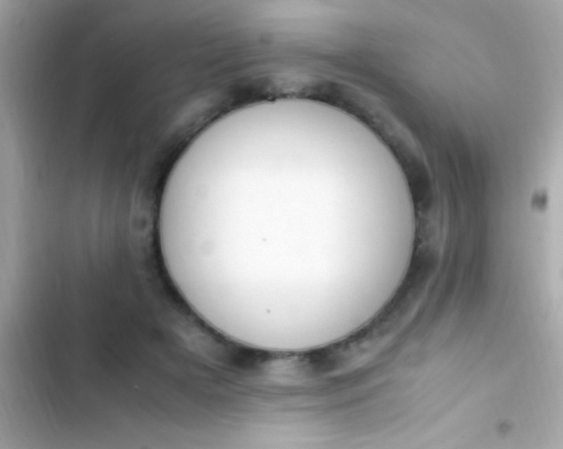 X0000103330505200809192208