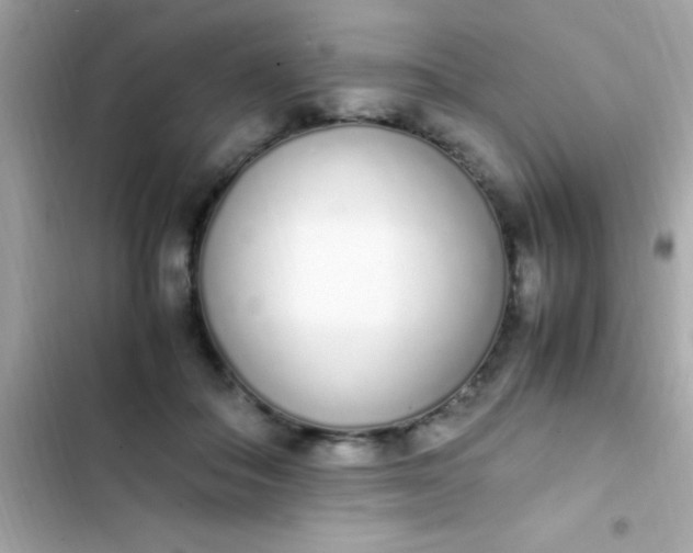 X0000103330506200809192208