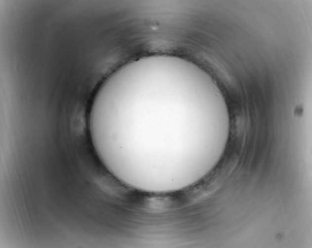 X0000103330508200809192208