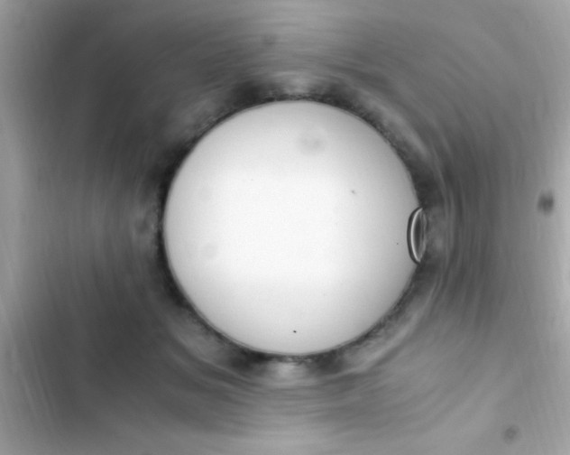 X0000103330509200809192208