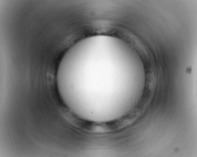 X0000103330510200809192208