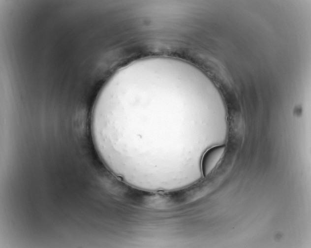 X0000103330511200809192208