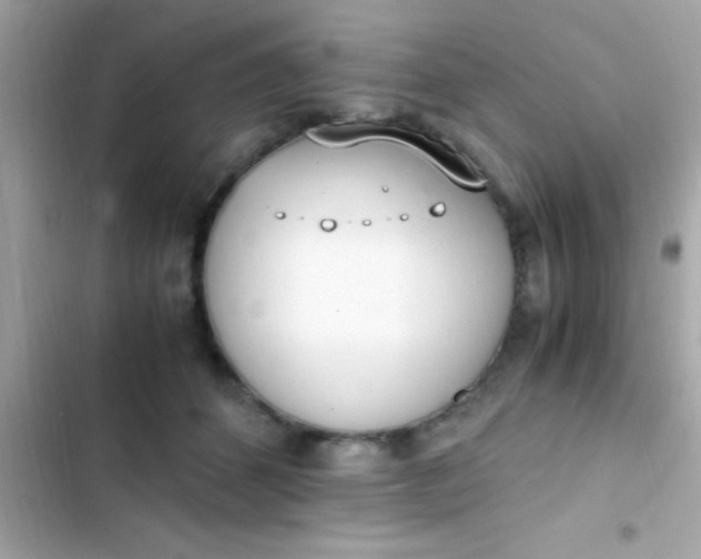 X0000103330512200809192208