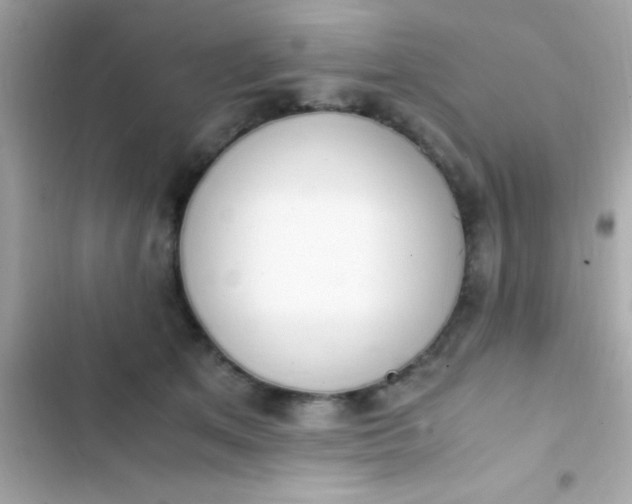 X0000103330513200809192208