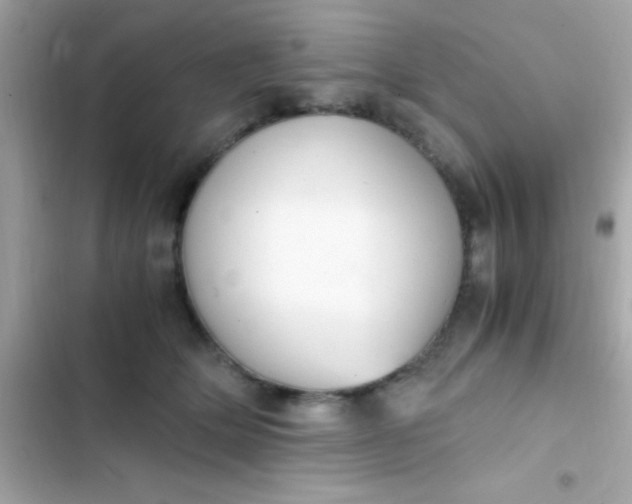 X0000103330514200809192208