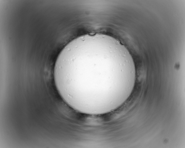 X0000103330515200809192208