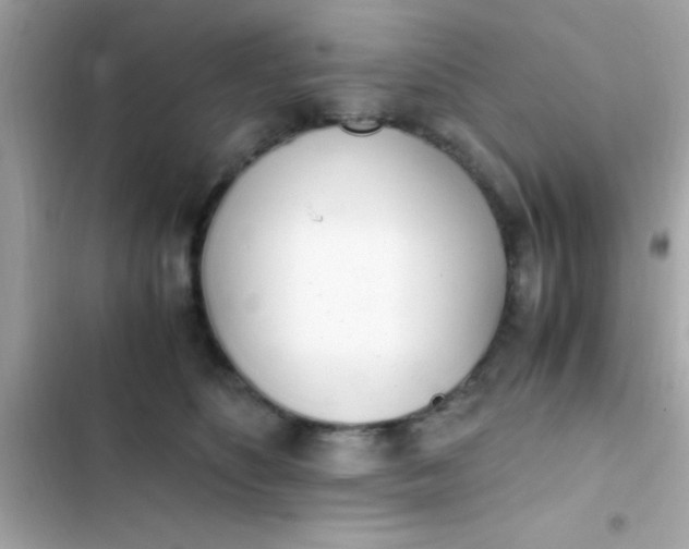 X0000103330516200809192208