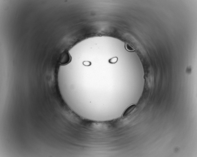 X0000103330520200809192208