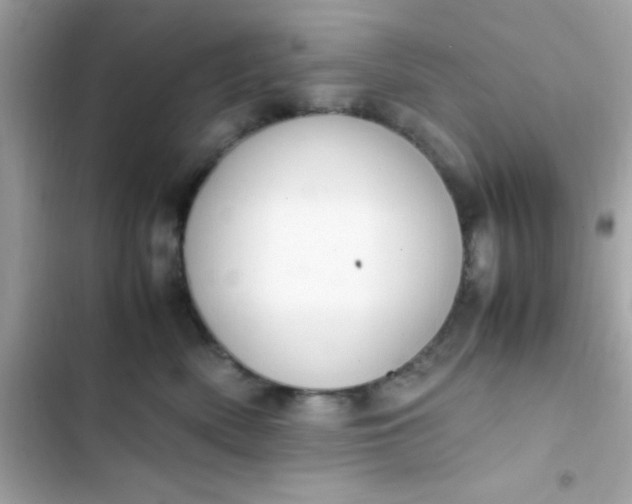 X0000103330522200809192208