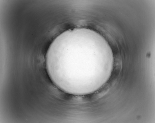 X0000103330523200809192207