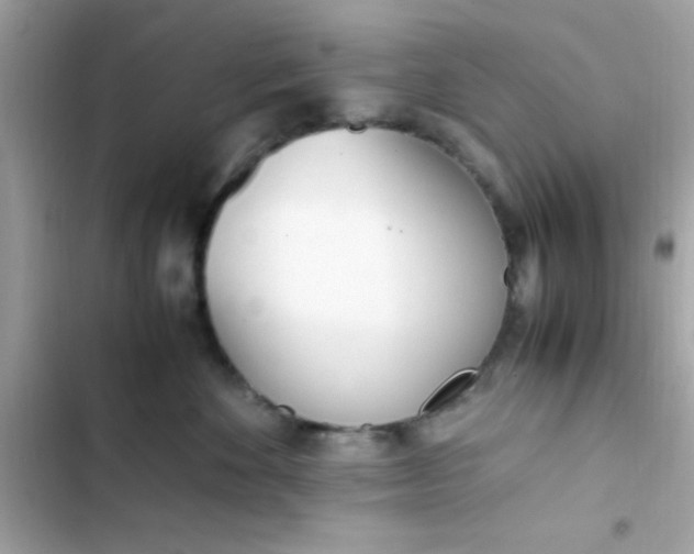 X0000103330524200809192207