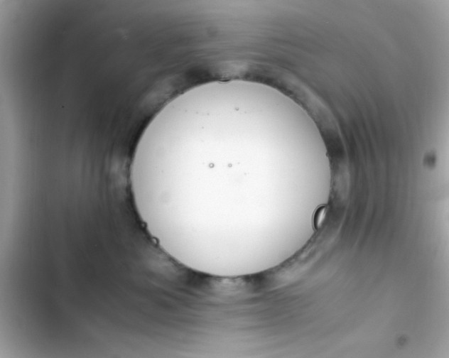 X0000103330525200809192207