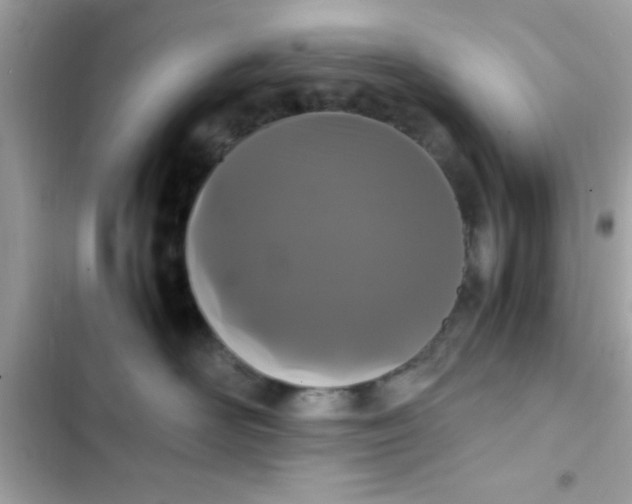 X0000103330526200809192207