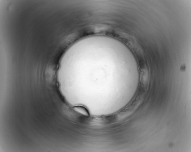 X0000103330527200809192207