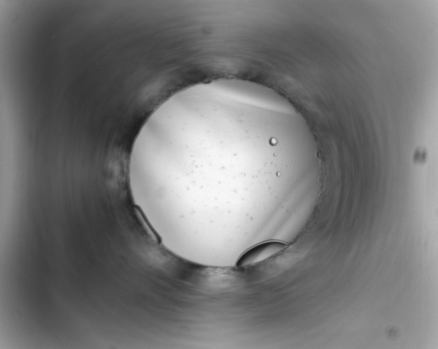 X0000103330528200809192207