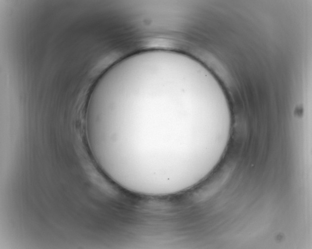 X0000103330529200809192206