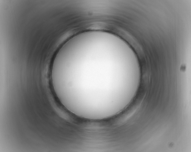 X0000103330530200809192206