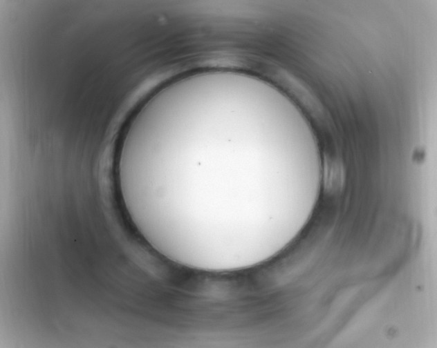 X0000103330531200809192206