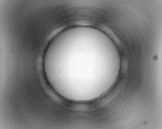 X0000103330533200809192206