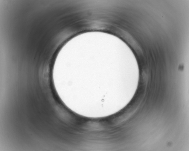 X0000103330534200809192206