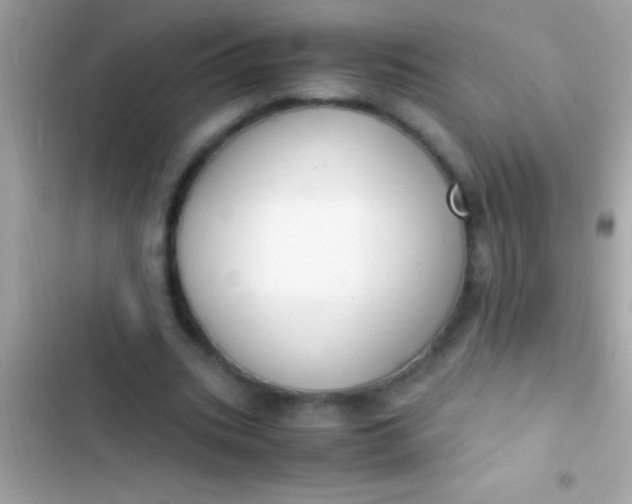 X0000103330535200809192207