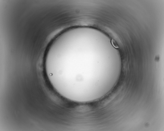 X0000103330536200809192207