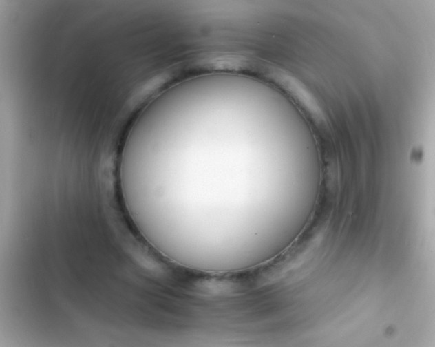 X0000103330537200809192207