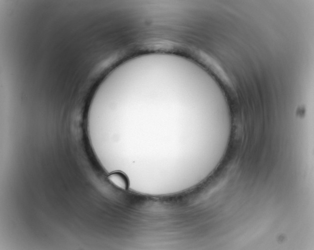 X0000103330538200809192207