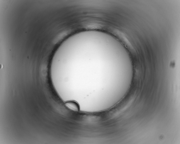 X0000103330539200809192207