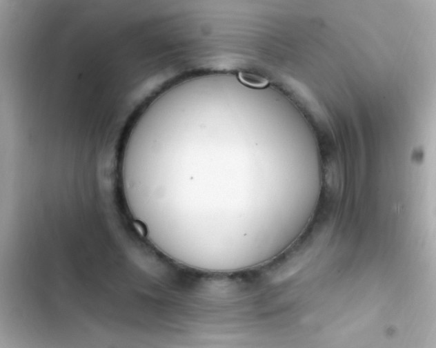 X0000103330540200809192207