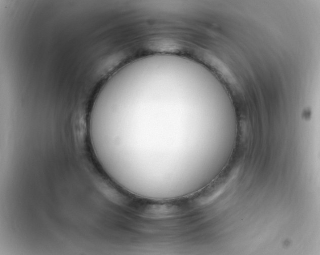 X0000103330541200809192207