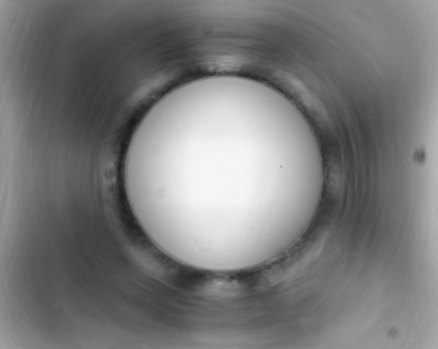 X0000103330543200809192207