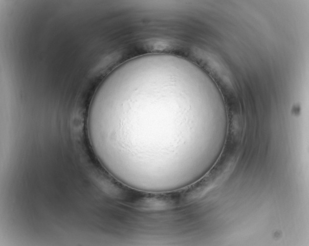 X0000103330545200809192207