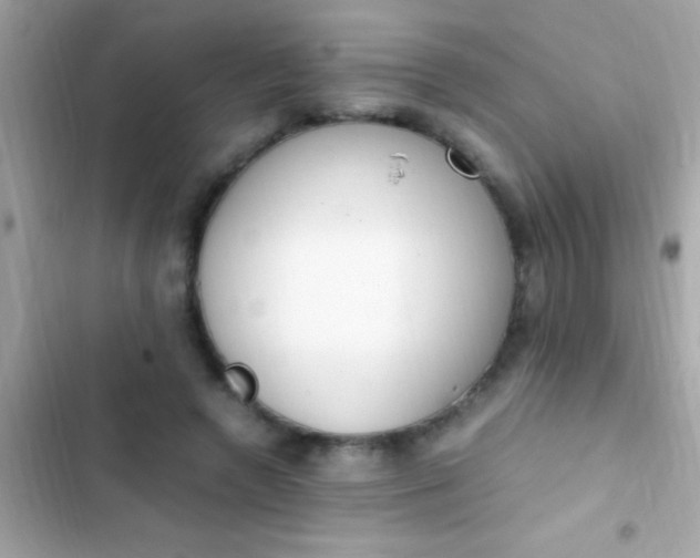 X0000103330546200809192207