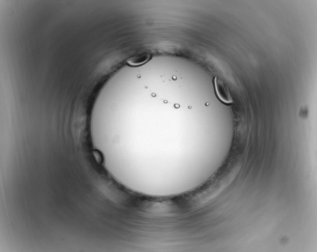 X0000103330548200809192207