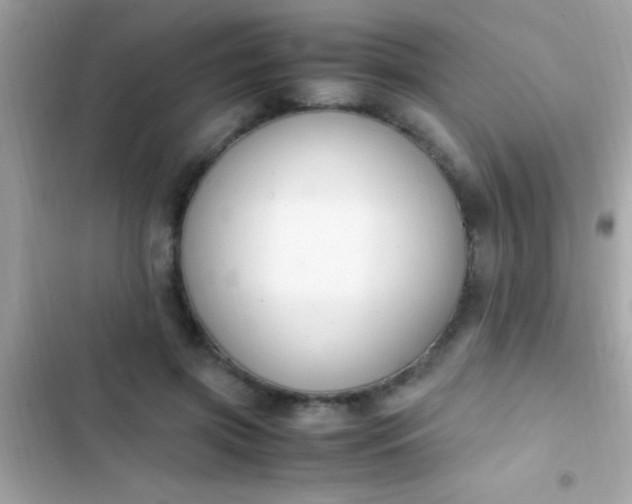 X0000103330549200809192207