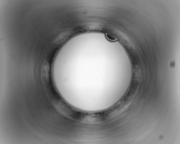 X0000103330550200809192207