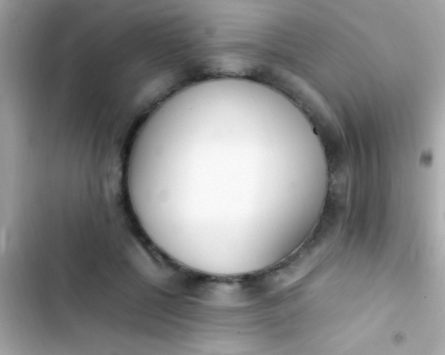 X0000103330552200809192207