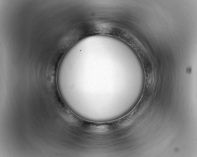 X0000103330553200809192207