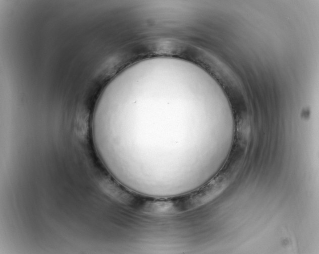 X0000103330554200809192207